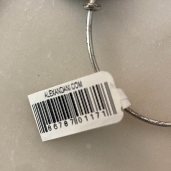 Alex and Ani Compass Charm Bracelet - Picture 3 of 9